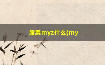 “股票myz什么(myz是指什么)